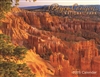 2025  Bryce Canyon Calendar ON SALE