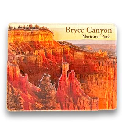 Agua Canyon Acrylic Magnet