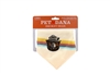 Smokey Bear Pet Dana