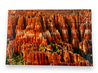 Bryce Canyon "Labyrinth" 13x19 Metal Print