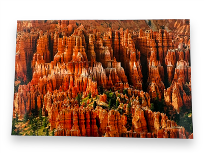 Bryce Canyon "Labyrinth" 13x19 Metal Print