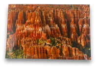 Bryce Canyon "Labyrinth" 16x24 Metal Print