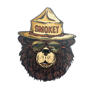 Smokey Bear Groovy Glasses Sticker